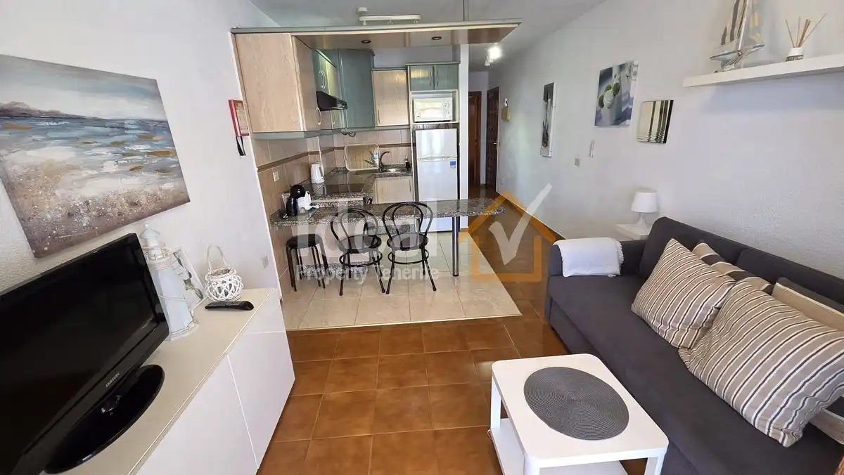 Sala d'estar de Apartament en venda en Adeje amb Terrassa i Moblat