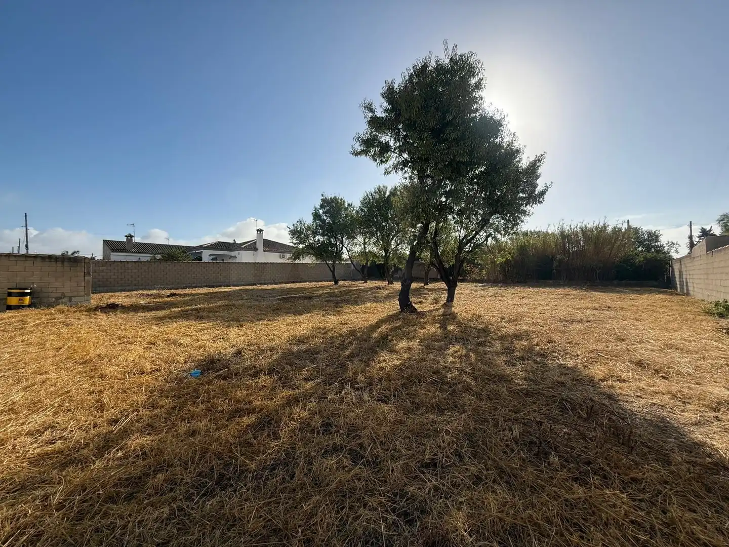 Terrenys i solars en venda a Los Franceses – La Vega, imagen 5