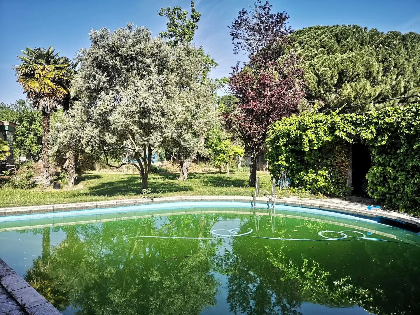 Swimming pool of Country homes for sale in Valladolid  with Swimming Pool