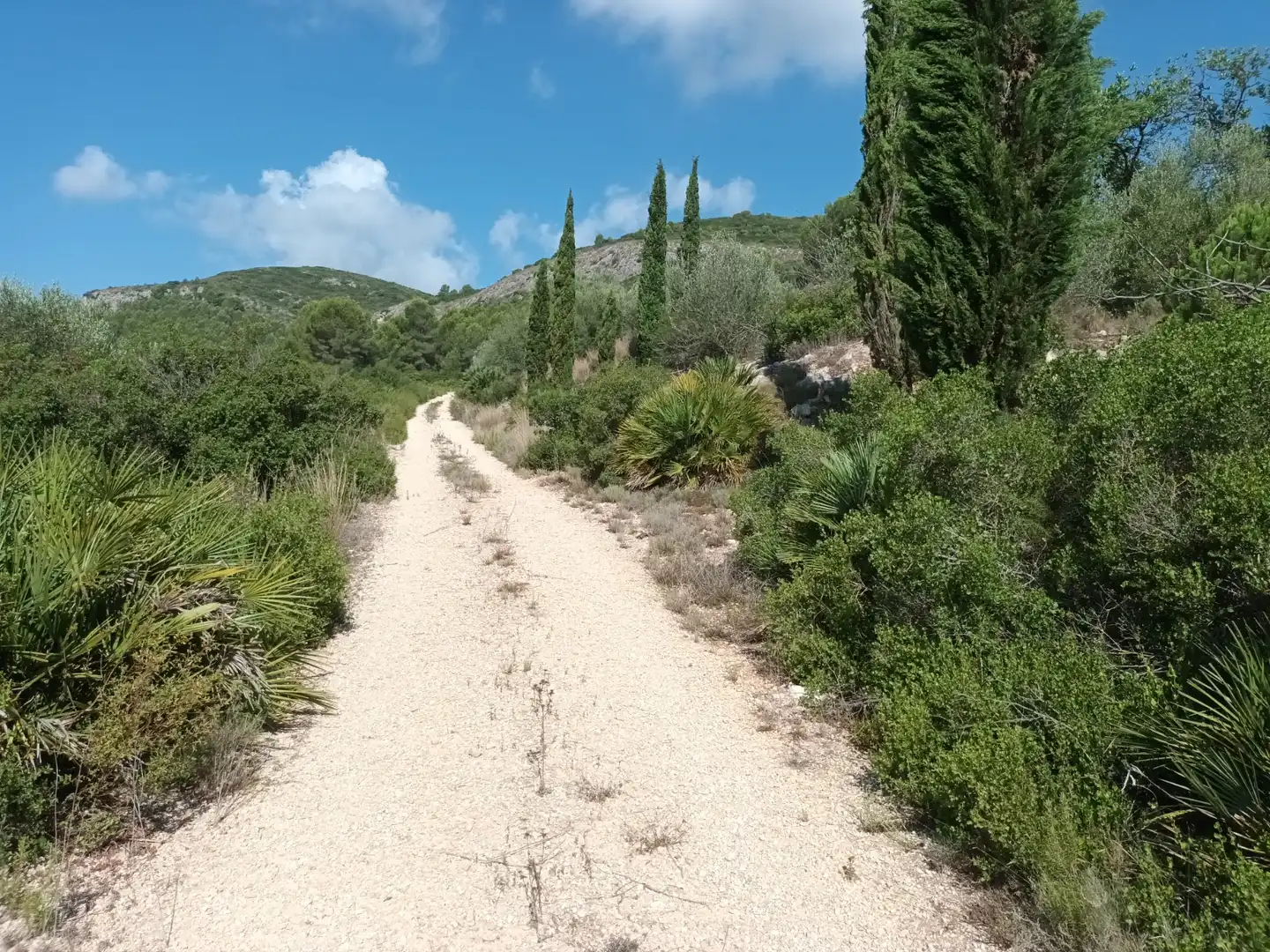 Vista exterior de Terreno en venta en Benigànim