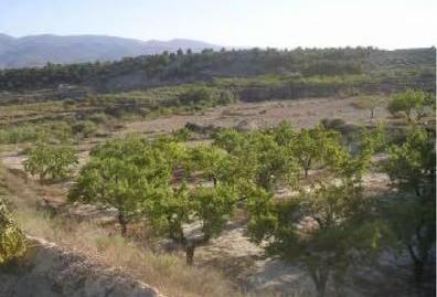 Foto 3 de Terreny en venda a Somontín, Almería
