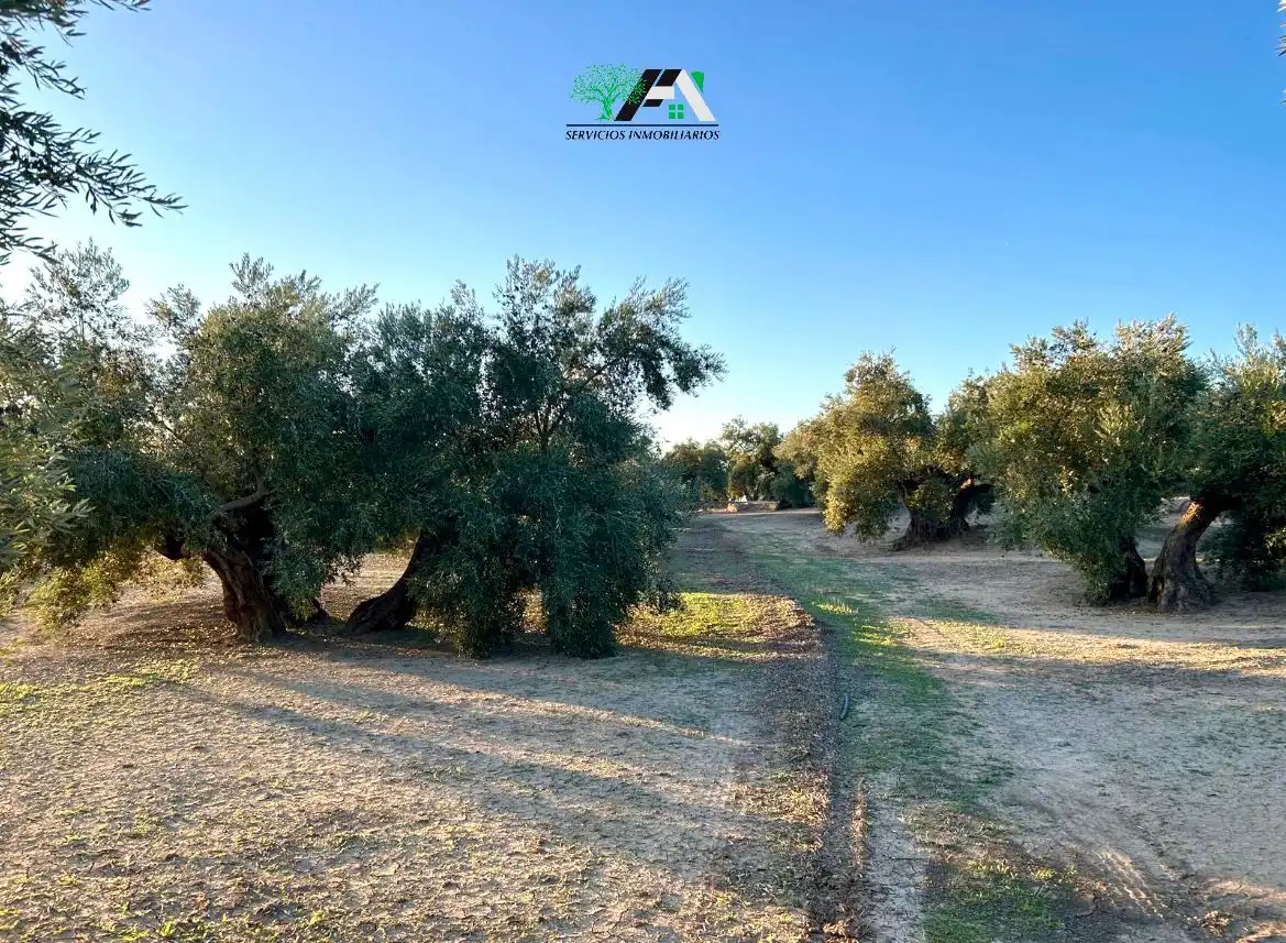Terreno en venta en Ibros