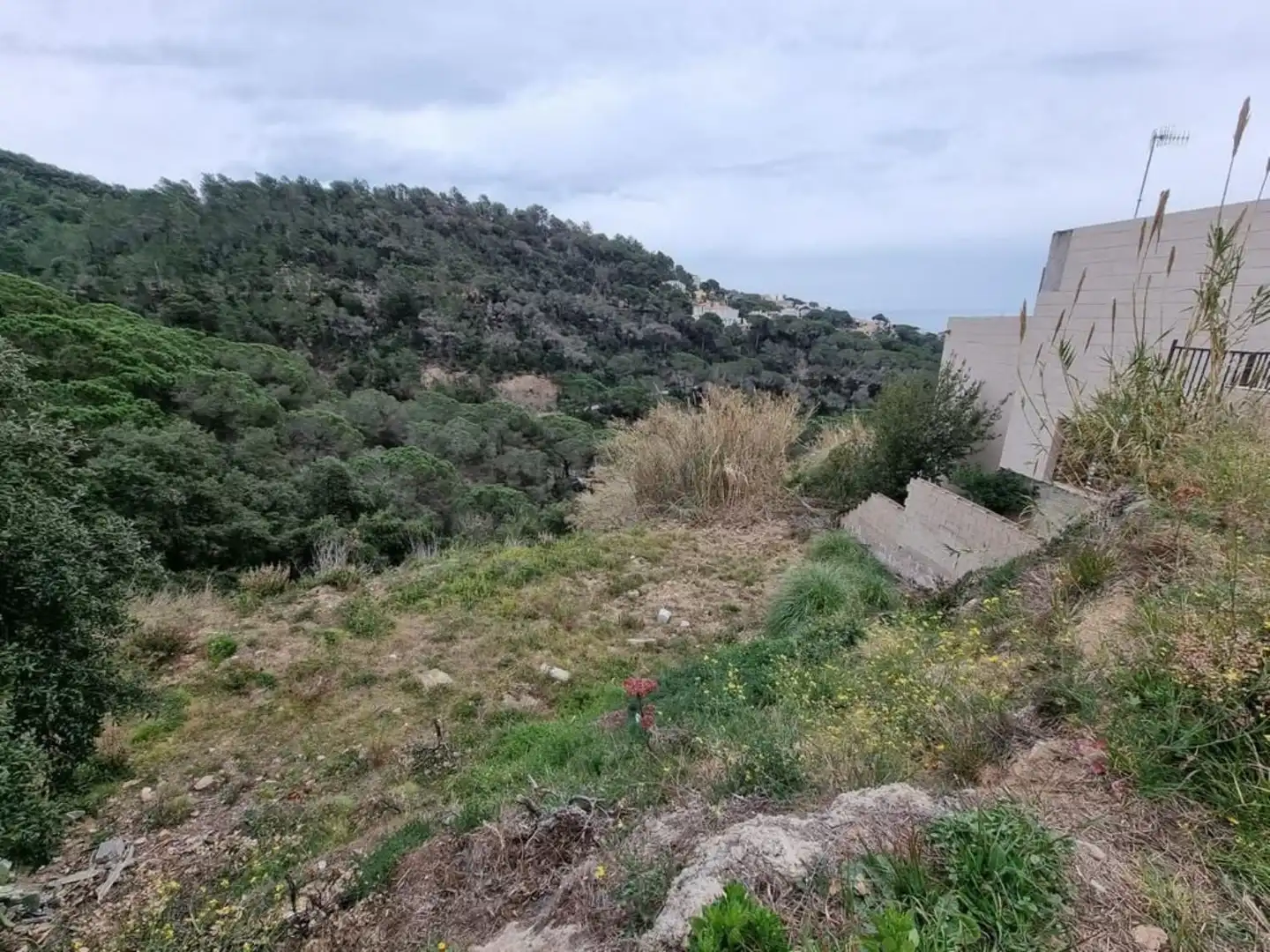 Terrenos y solares en venta en Serra Brava, imagen 23