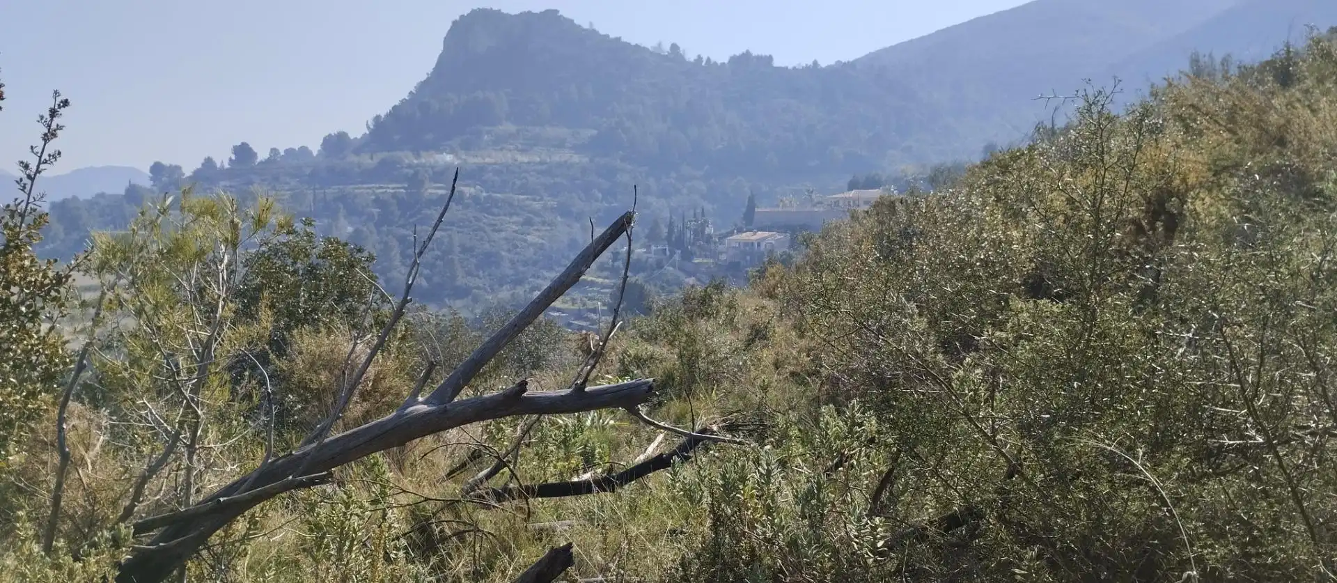 Rural land for sale in Pego, imagen 5