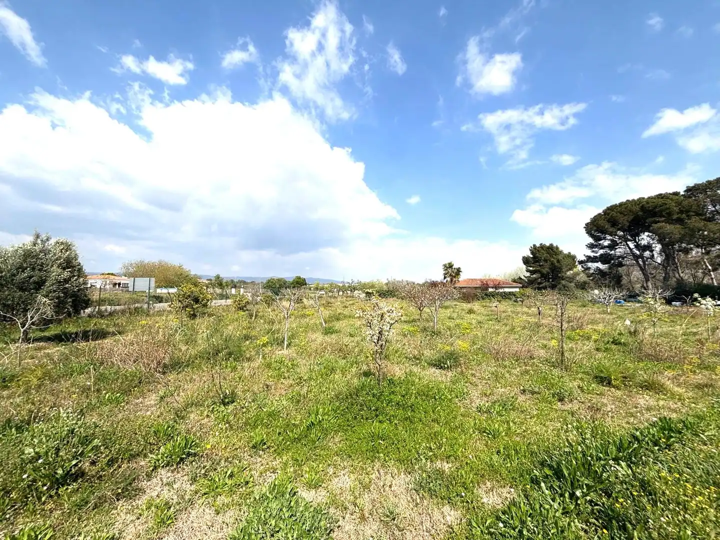 Rural land for sale in Santa Oliva, imagen 7