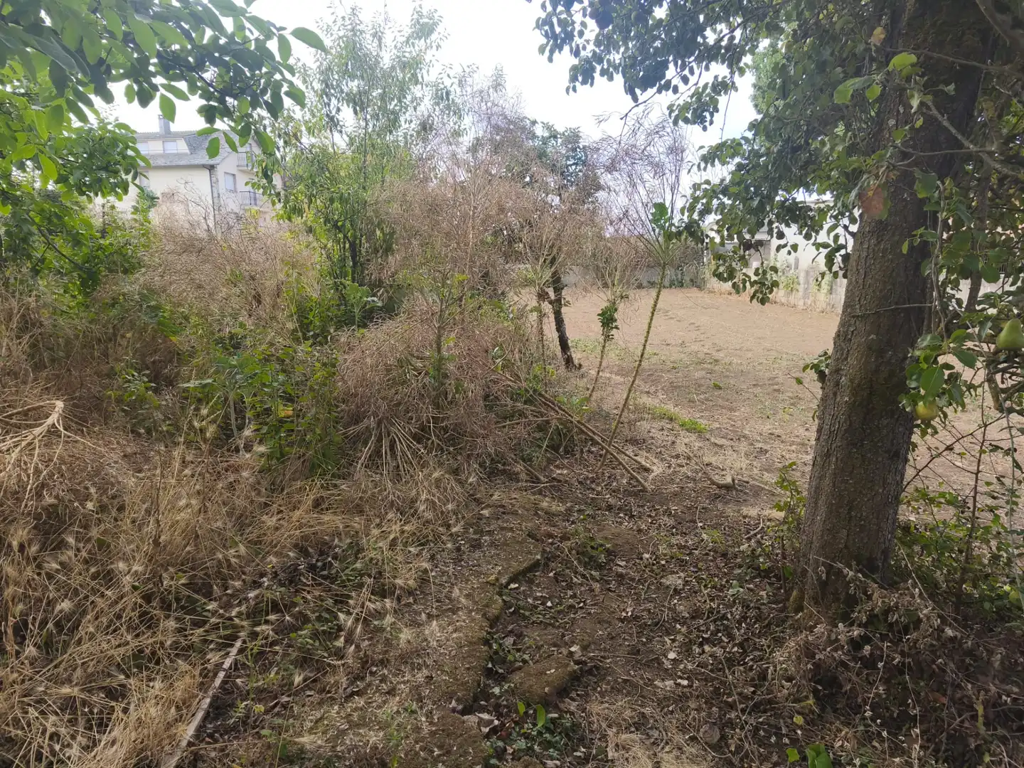 Casa in vendita a Outeiro de Rei, imagen 20