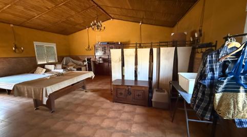 Foto 3 de Finca rústica en venda a Gibraleón, Huelva