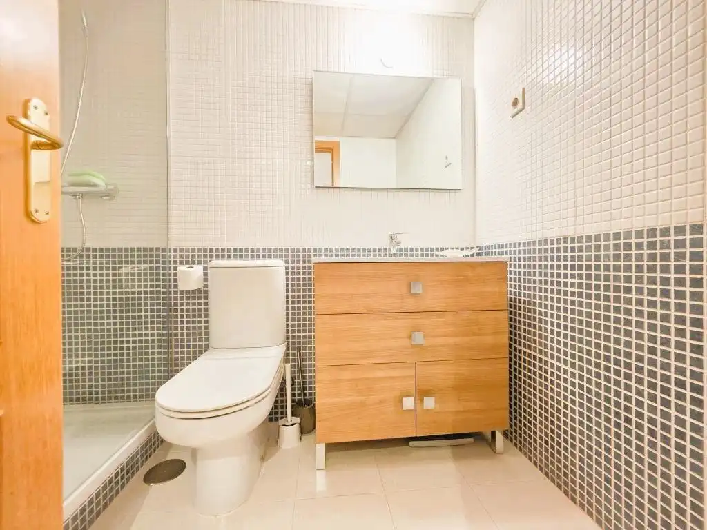 Penthouse with pool to rent in Avenida MARIA VICTORIA ATENCIA, imagen 17