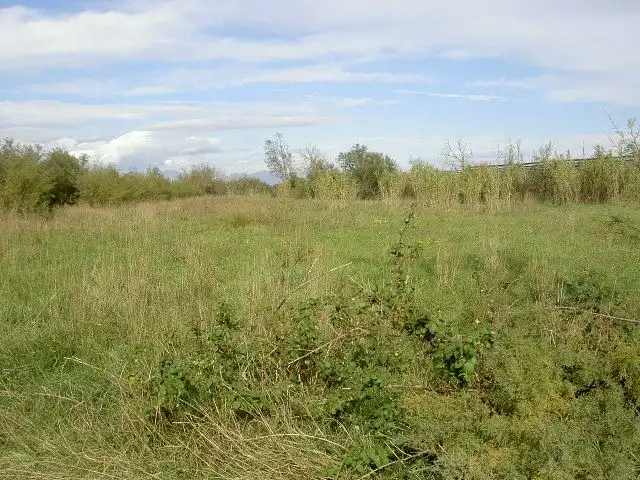 Rural land for sale in Sant Pere Pescador, imagen 52