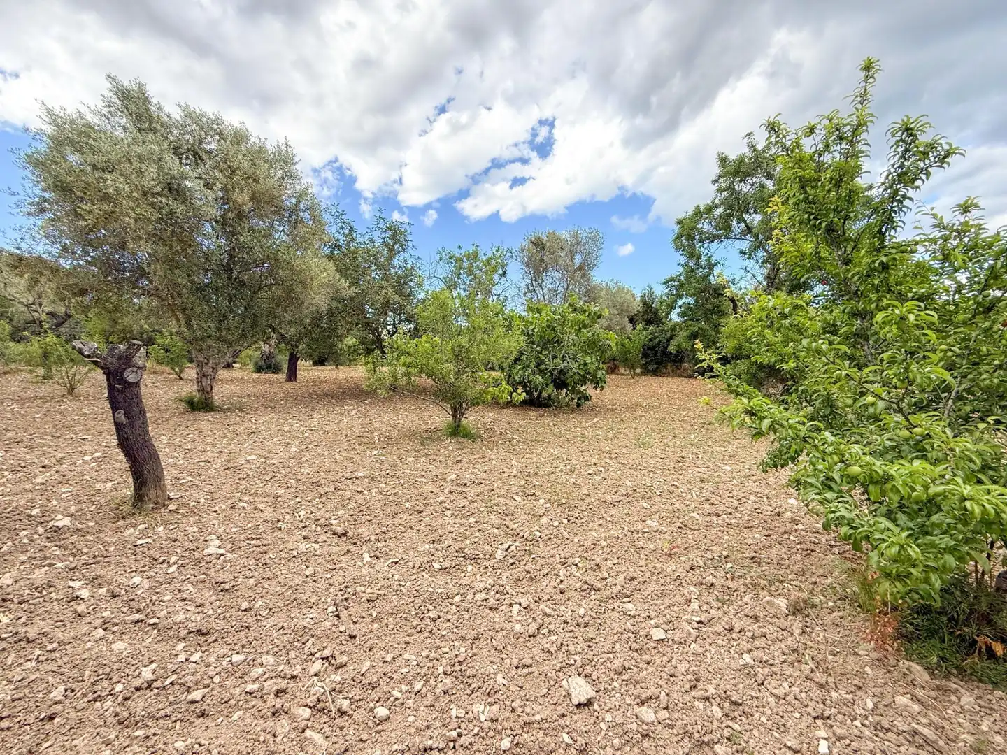 Country homes for sale in Pollença  with Air Conditioner, Heating and Private garden
