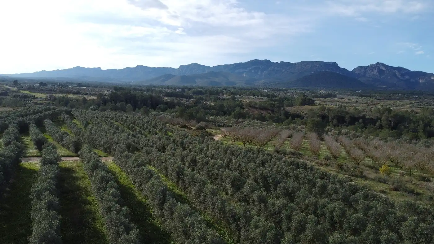 Terreno en venta en Tivissa