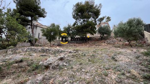 ✨ PARCELA URBANA EN URBANIZACIÓN CRTRA. ALCORA (BORRIOL) ✨, immagine 2
