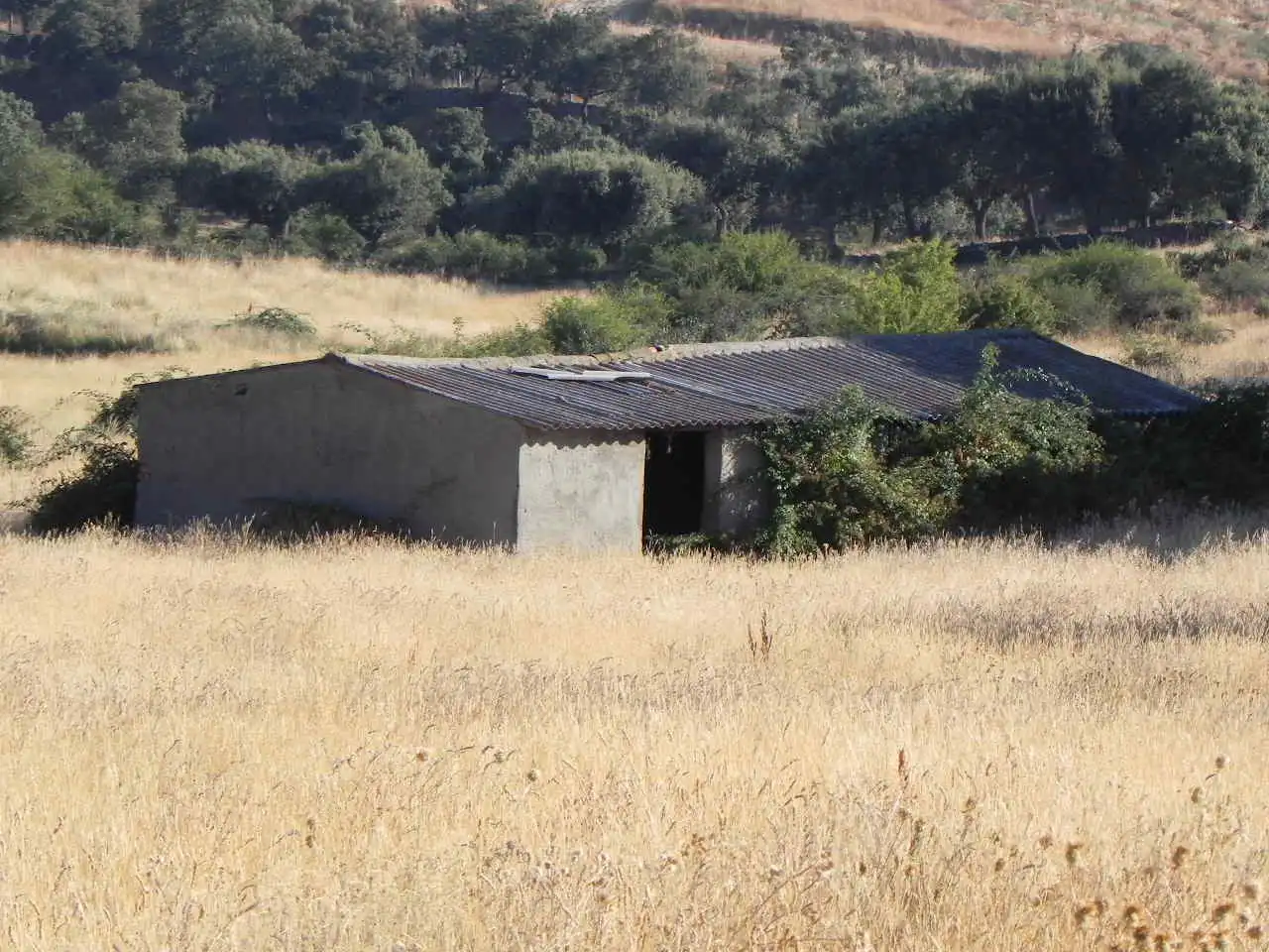 Terreny rústic en venda a SA-212