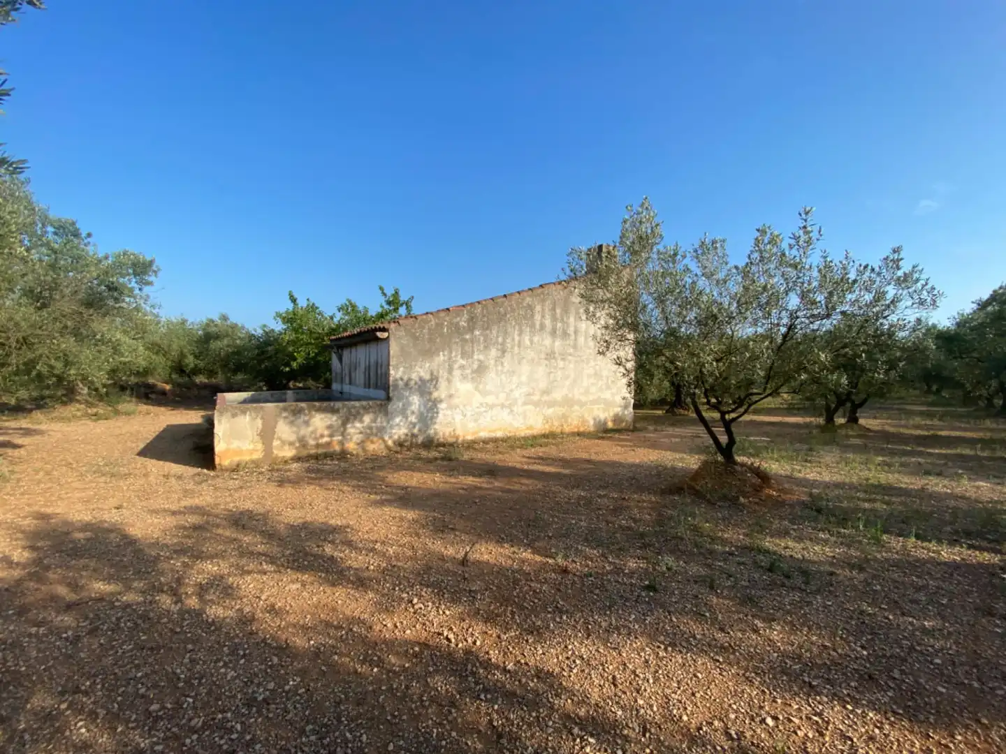 Casa rústica con piscina en venta en Ulldecona, imagen 24