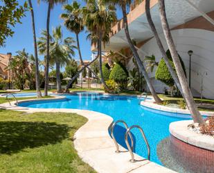 Swimming pool of Single-family semi-detached for sale in Alicante / Alacant  with Air Conditioner and Terrace