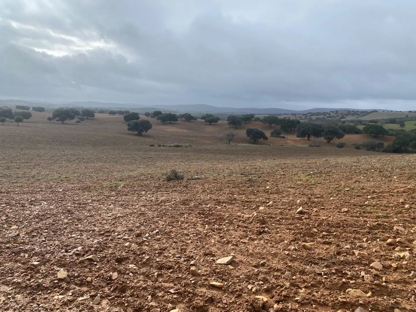 Terreno en venta en Anchuras