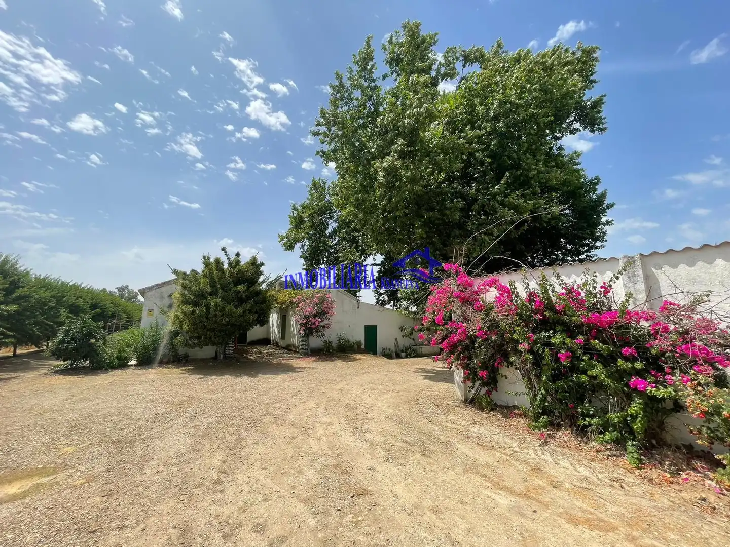 Casa rústica en venta en Almodóvar del Río, imagen 8