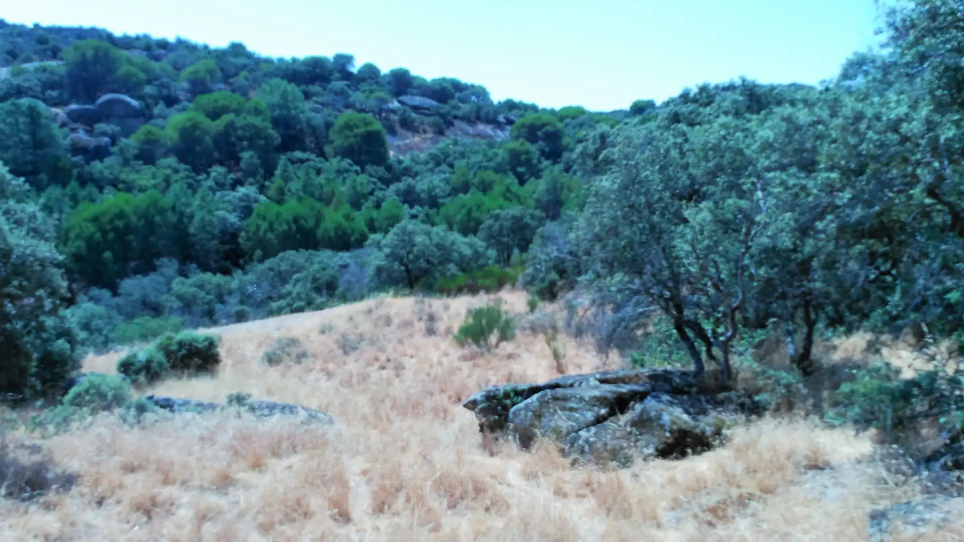 Rural land for sale in Cadalso de los Vidrios, imagen 22