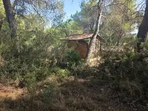 Rustikales Grundstück zum Verkauf in Partida Cumbres de Calicanto