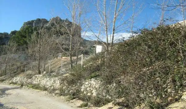 Terreni e lotti in vendita a Torredelcampo, imagen 2