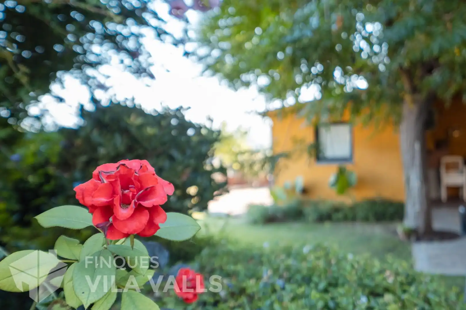 Villa con piscina in vendita a c del pardal, imagen 43