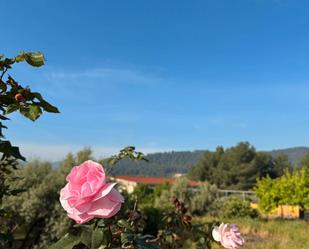Garden of Country house for sale in Onda  with Swimming Pool