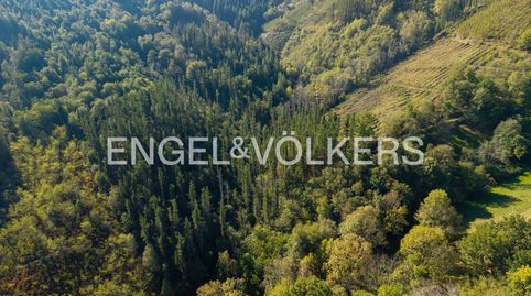 Terreno estratégico en Azpeitia, immagine 5