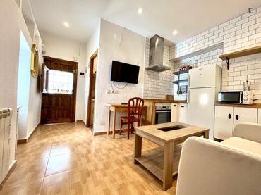 Apartment to rent in Centro