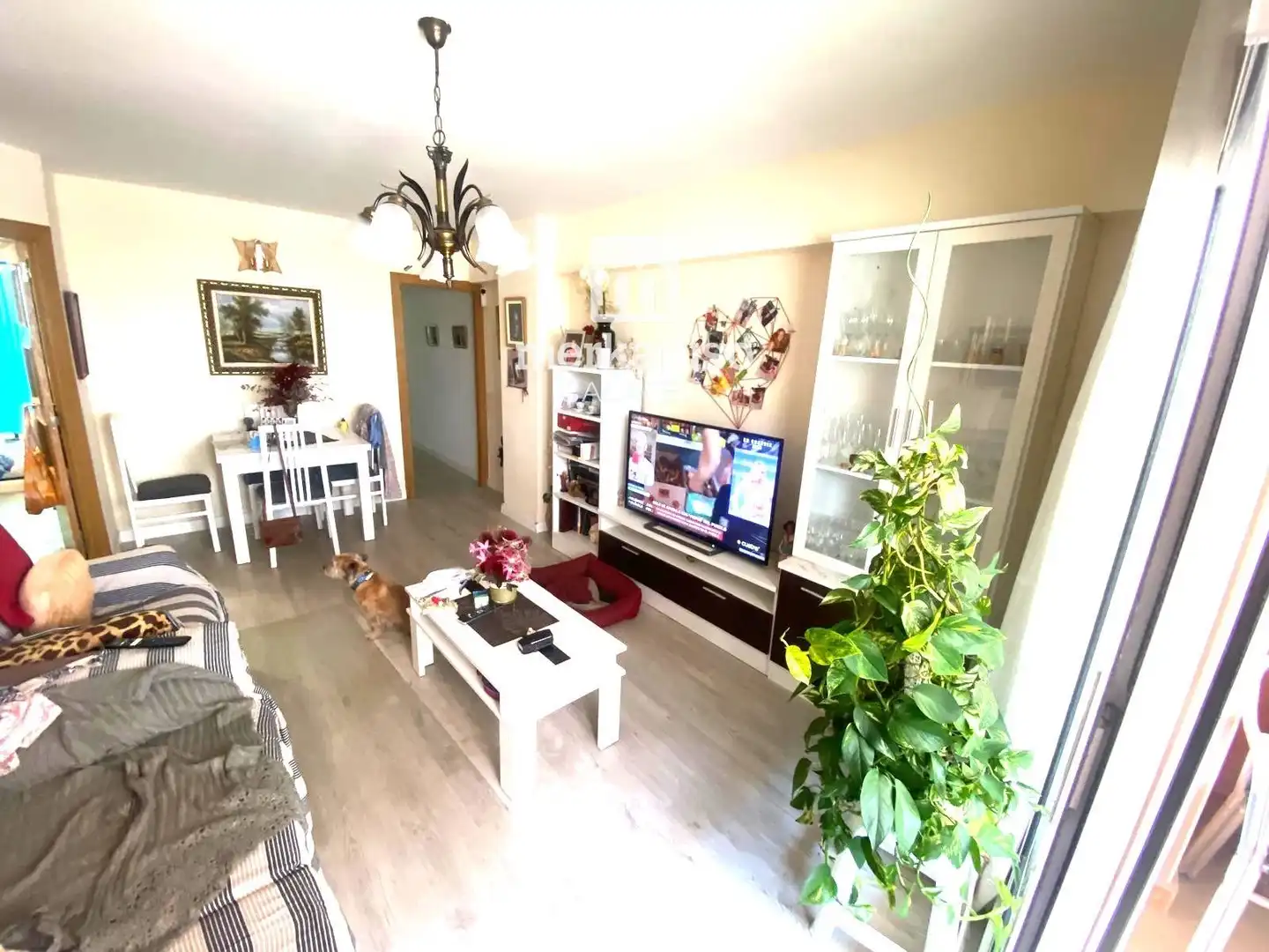 Sala de estar de Piso en venta en Cunit con Terraza, Amueblado y Alarma