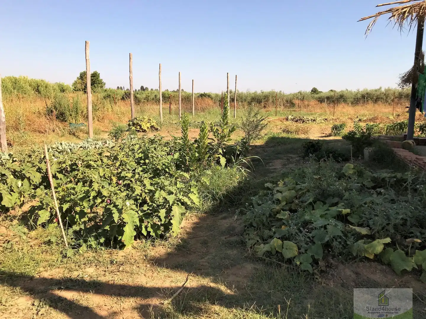 Finca rústica en venta en Rociana del Condado