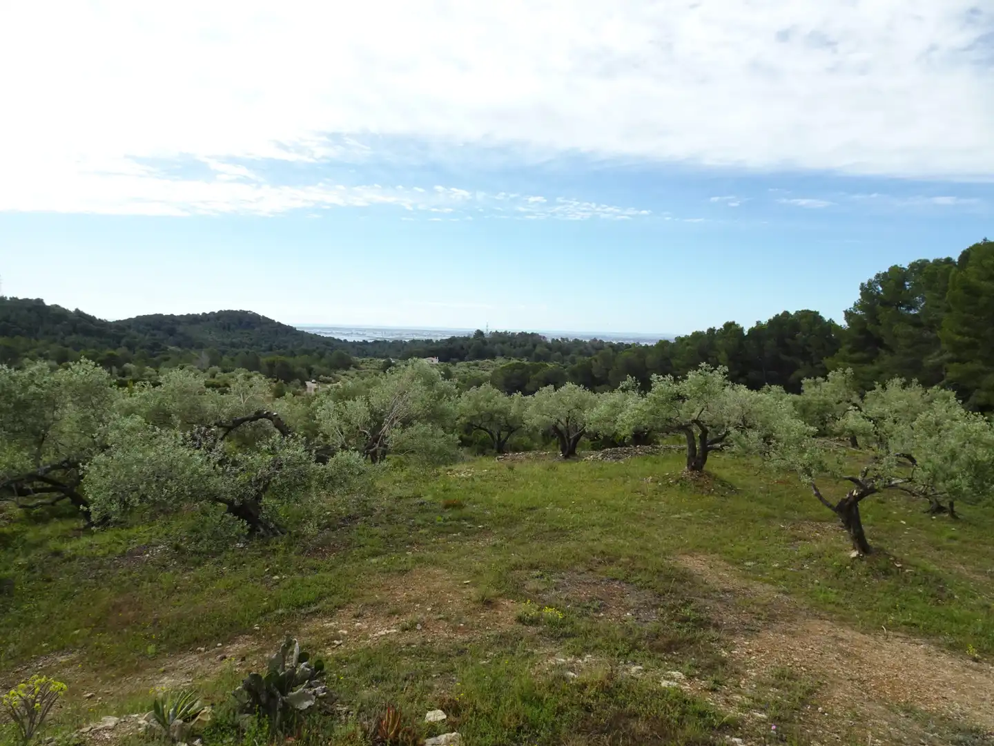 Finca rústica en venta en El Perelló