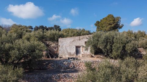 Finca rústica con casa de campo con excelentes vistas