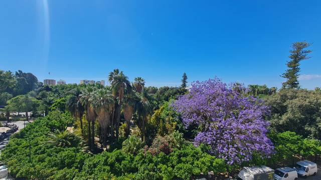 Piso en Alquiler en Centro Histórico