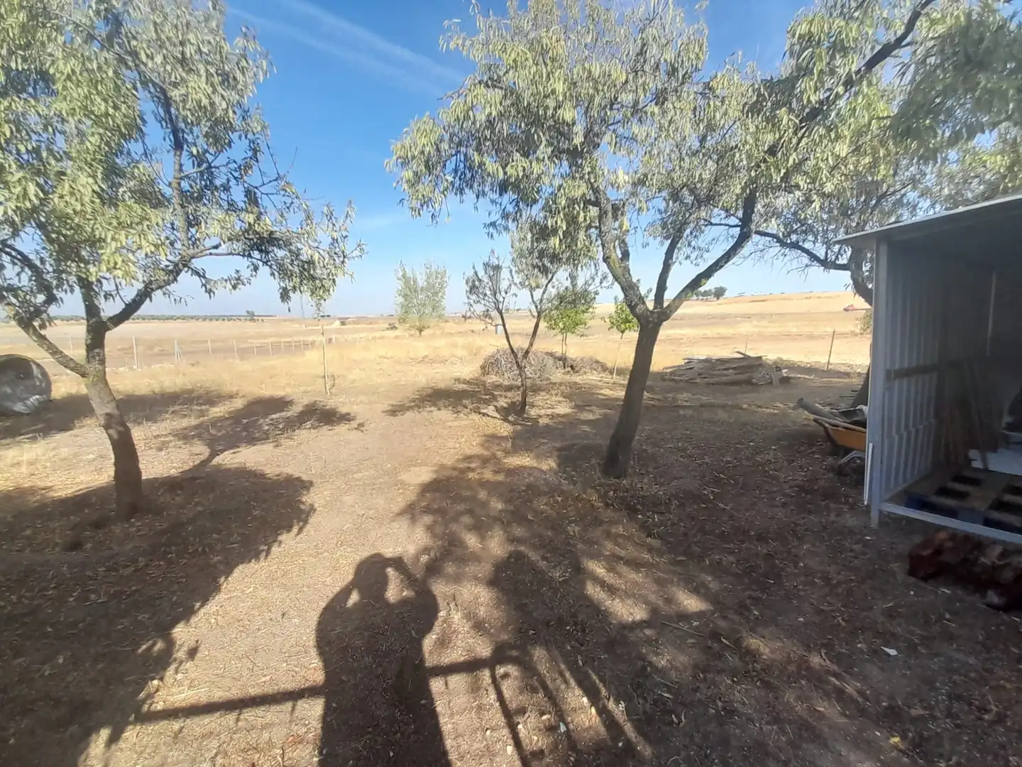 House with pool for sale in Carretera de Villamayor, imagen 3