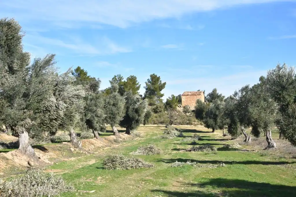 Casa rústica en venda a Mazaleón