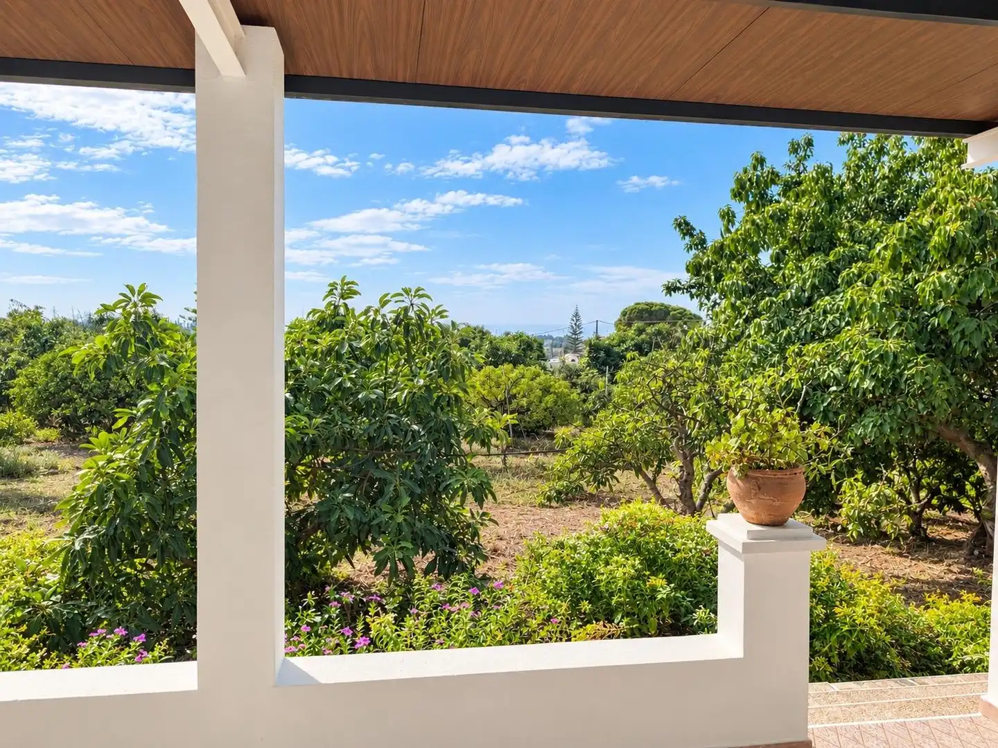 Terrace of Country homes for sale in Punta Plata