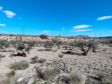 Terreno rústico en venta en Campo Alto - Club de Campo