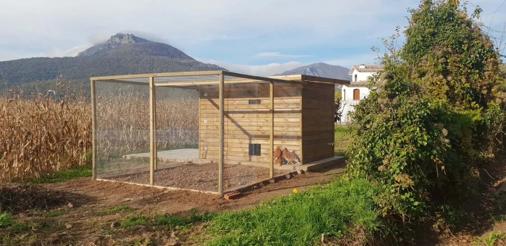 Jardí de Finca rústica en venda en La Vall d'en Bas amb Calefacció, Terrassa i Piscina