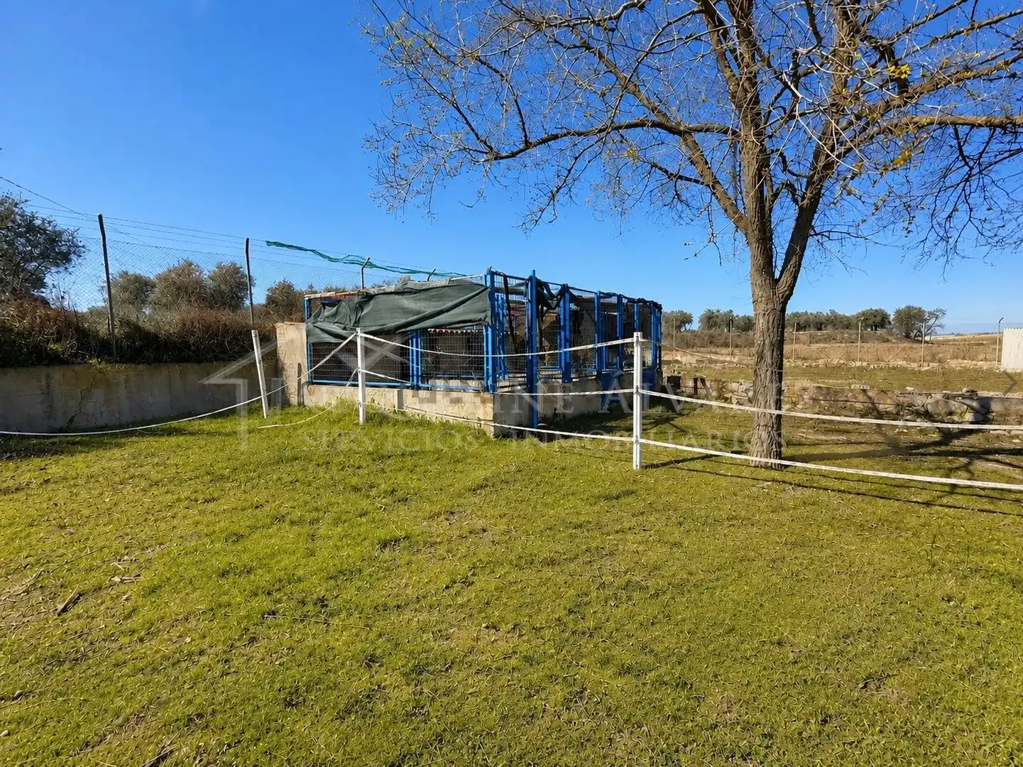 Finca rústica en venta en Yeles con Jardín privado