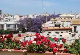 Exterior view of Residential for sale in Utrera