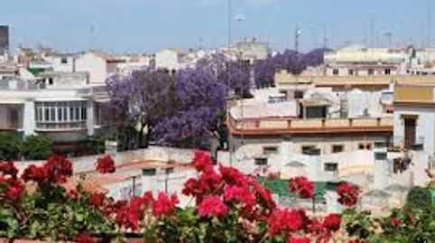 Foto 2 von Residential zum Verkauf in Torre Cruz - Los Molinos, Utrera