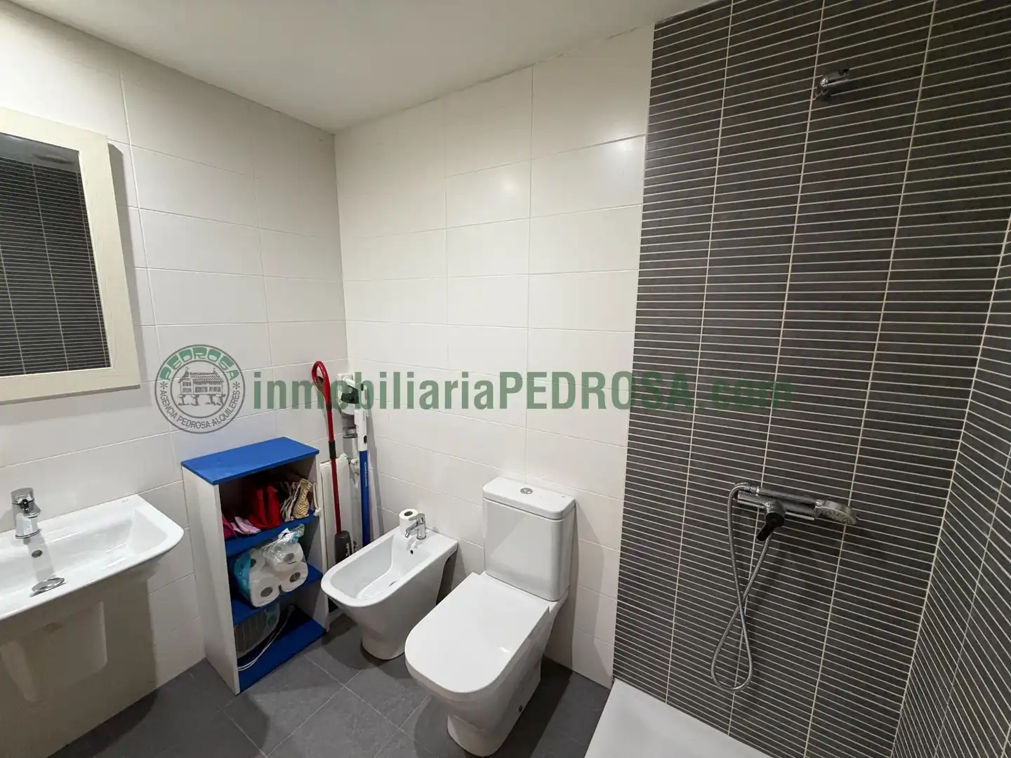 Apartament amb ascensor de lloguer a GRECIA, imagen 19