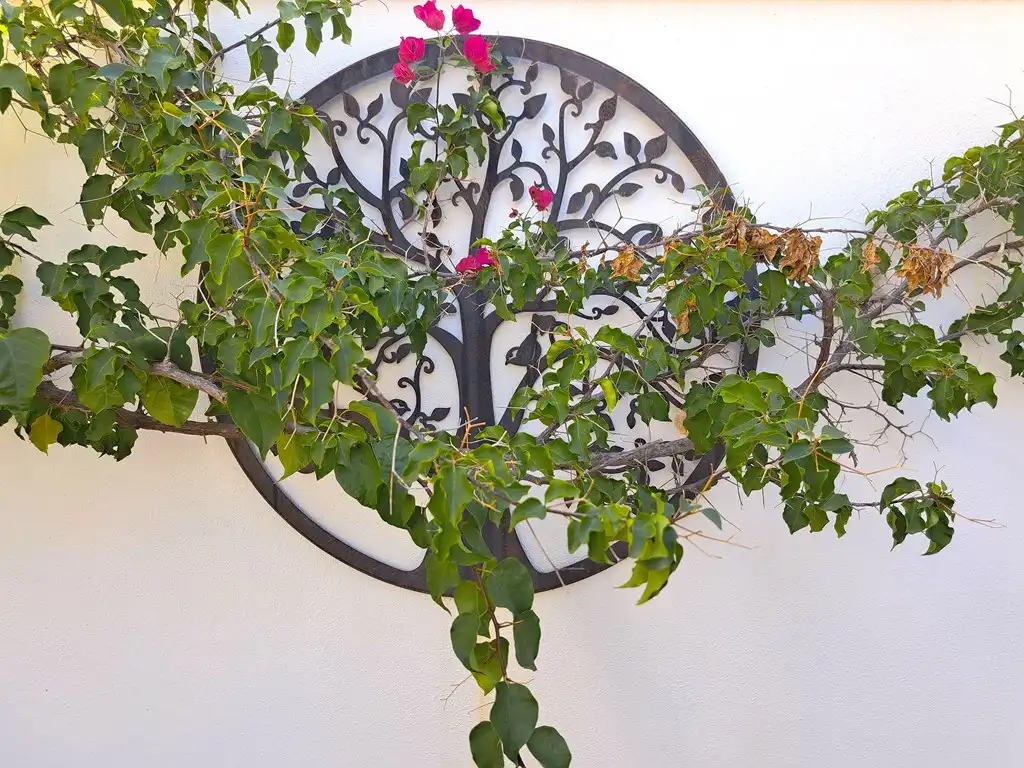 Maison mitoyenne avec piscine à vendre à CV-735, imagen 22