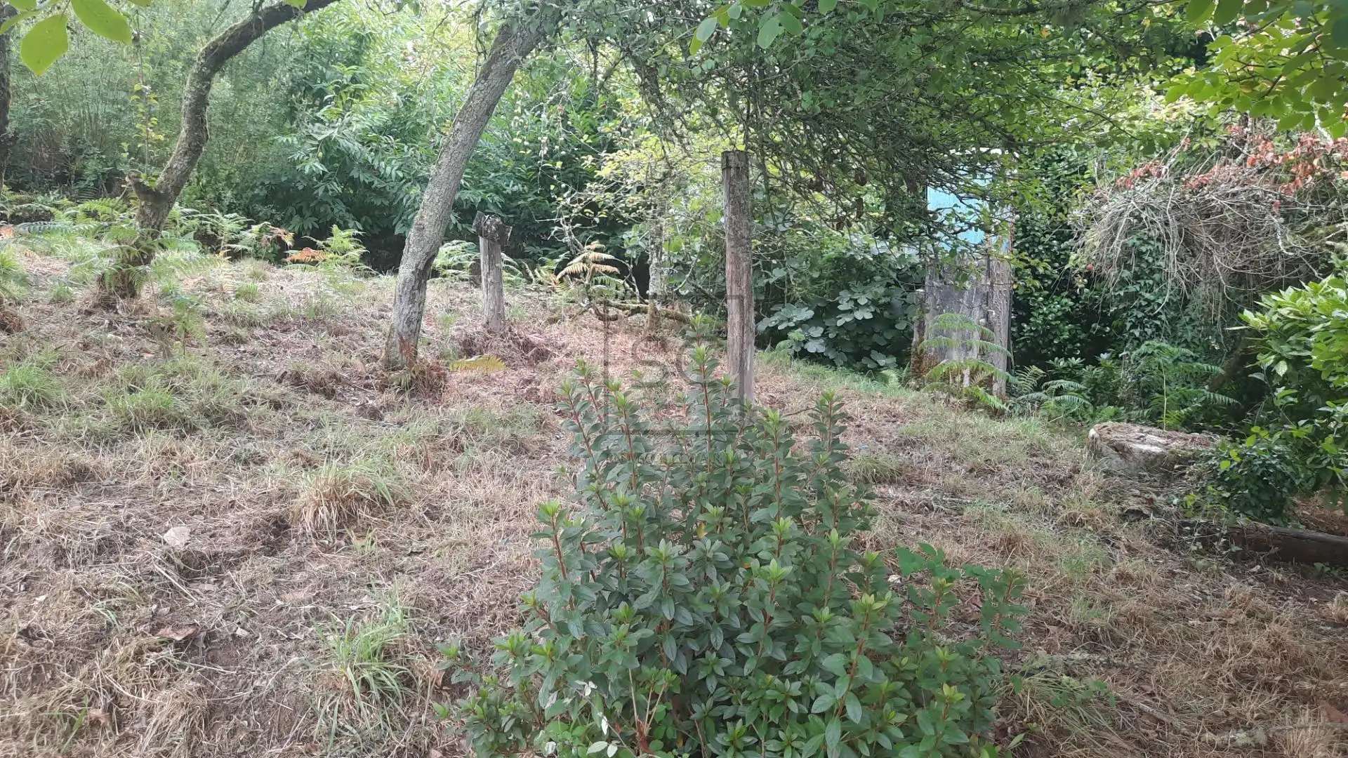 Casa rústica amb jardí en venda a COUCE, imagen 29