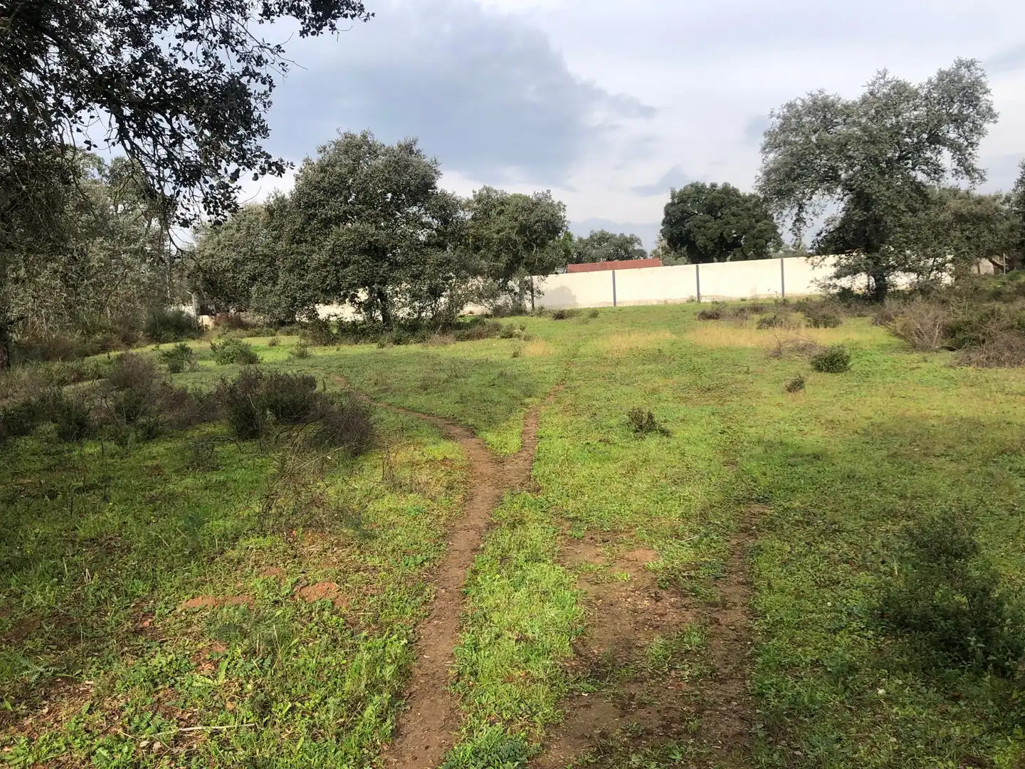 Terreno en venta en Pedanías de Badajoz