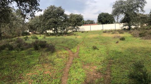 Foto 4 de Terreny en venda a Pedanías de Badajoz, Badajoz Capital