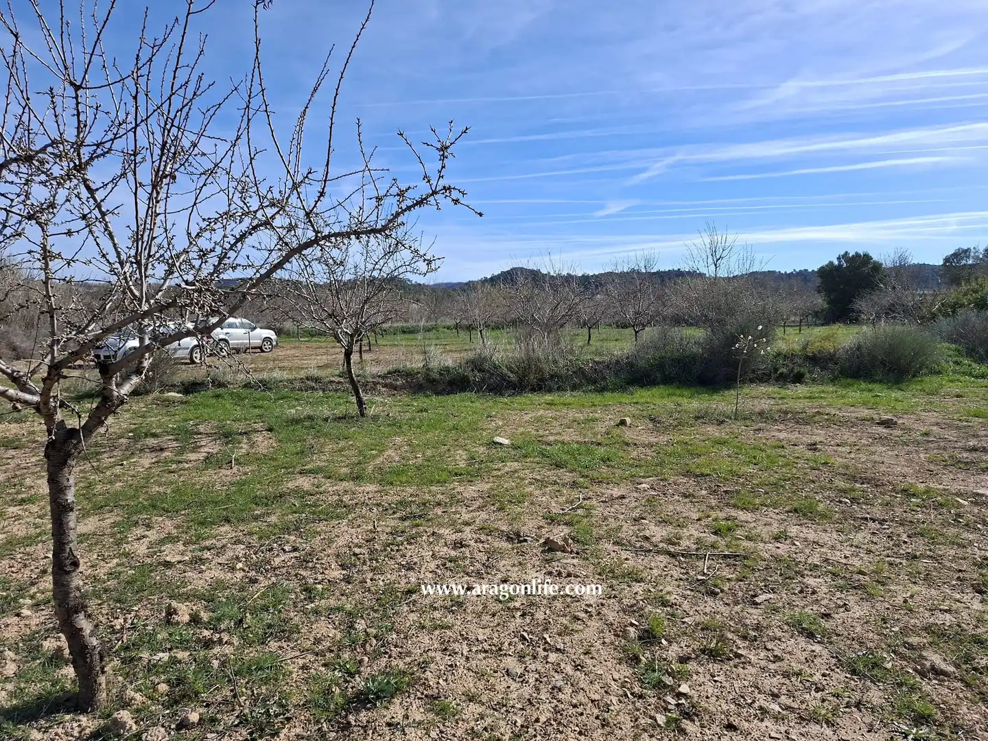 Land for sale in Fabara