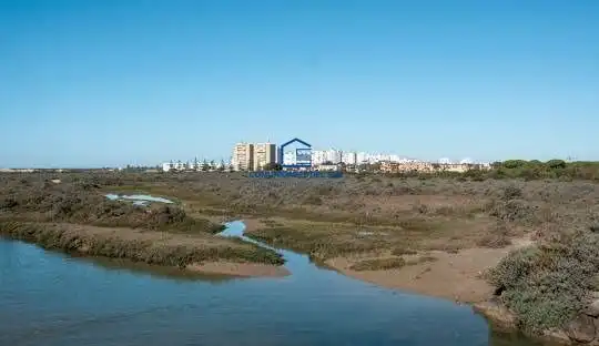Terreni e lotti in vendita a Valdelagrana, imagen 5