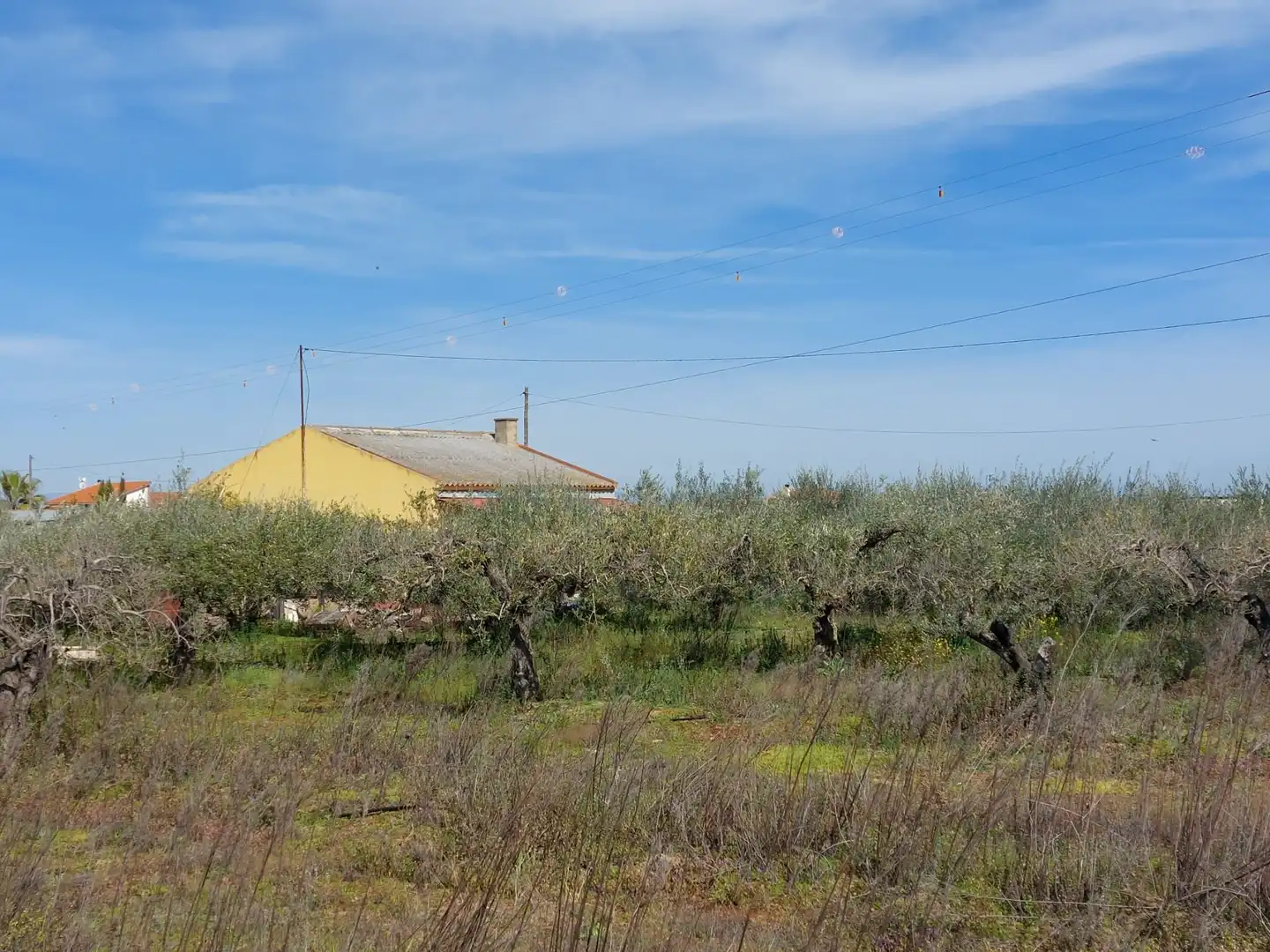 Terrain rustique à vendre à Don Benito, imagen 3