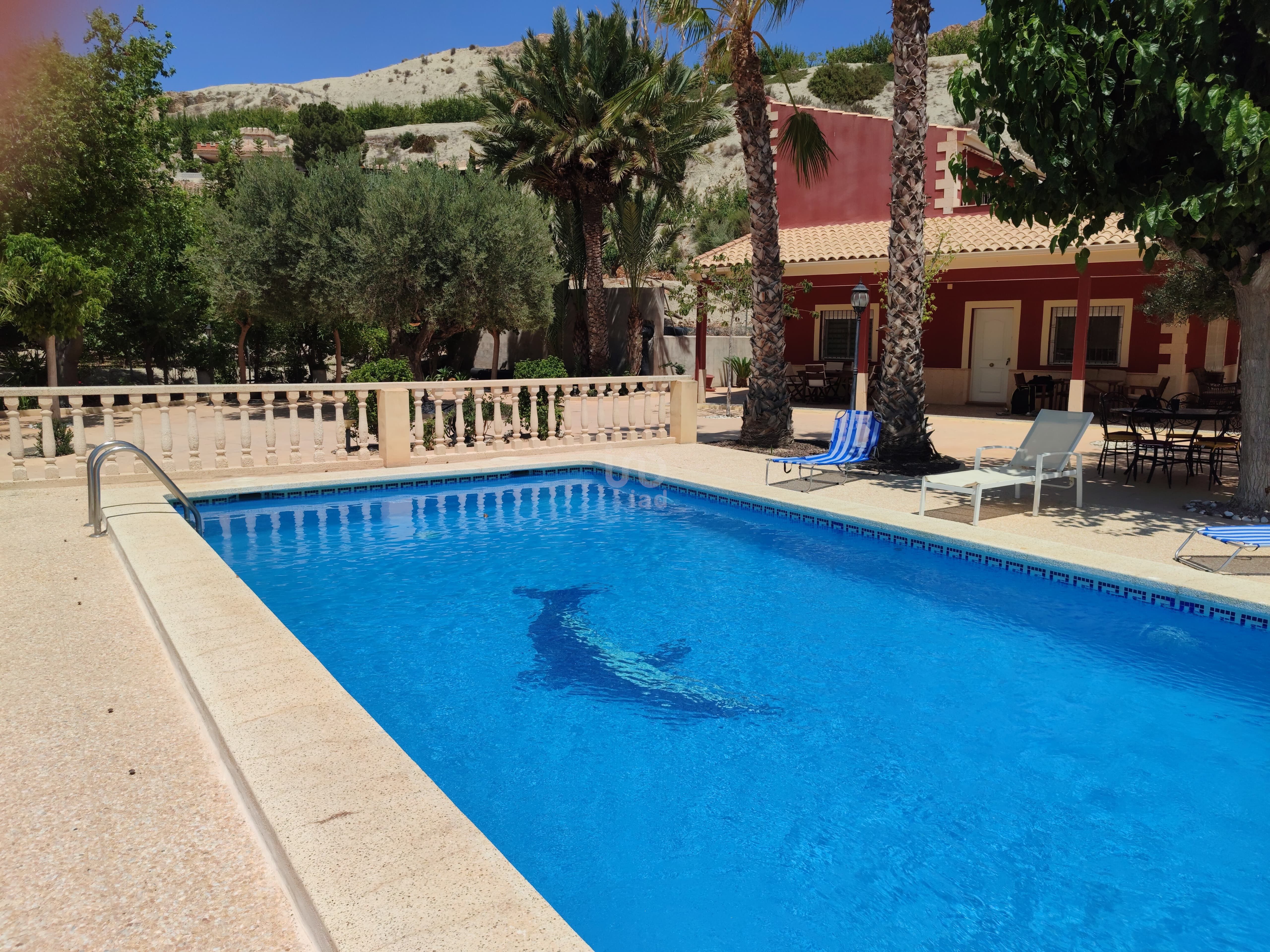 Piscina de Casa o xalet en venda en Villanueva del Río Segura amb Piscina